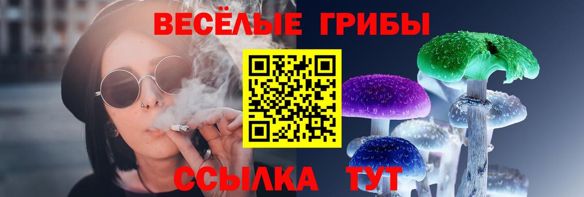 Таганрог  Псилоцибиновые грибы мухоморы  Вход с VPN 